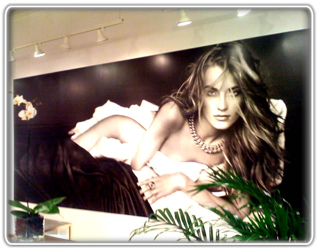 Mural installation services